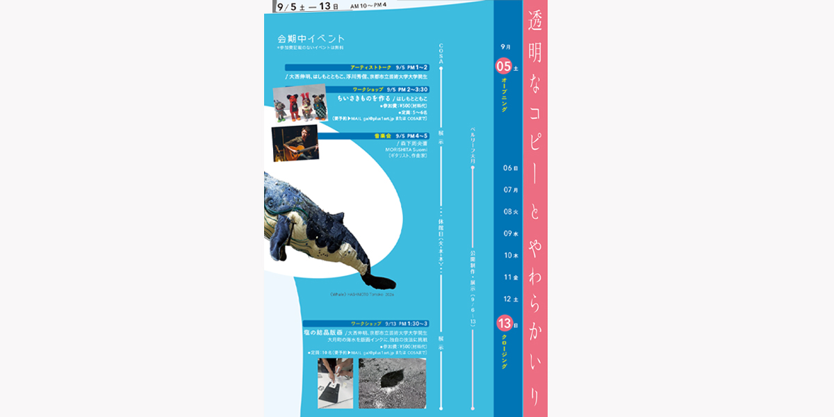 fifth slide